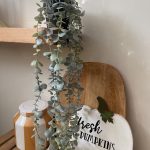 گلدان اکالیپتوس طرح ایکیا