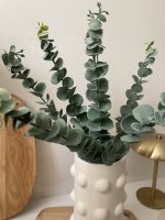 اکالیپتوس 7 شاخه - Image 2