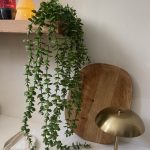 آویز شمشاد سبز