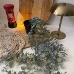 اکالیپتوس طرح ایکیا